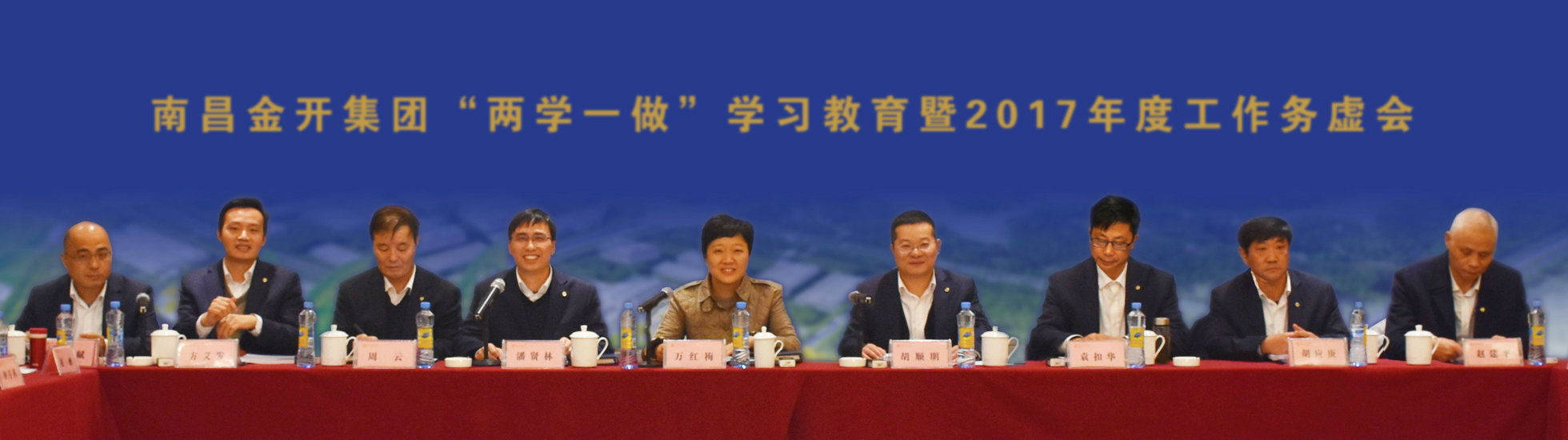 金开星空（中国）召开“两学一做”学习教育暨2017年度工作务虚会