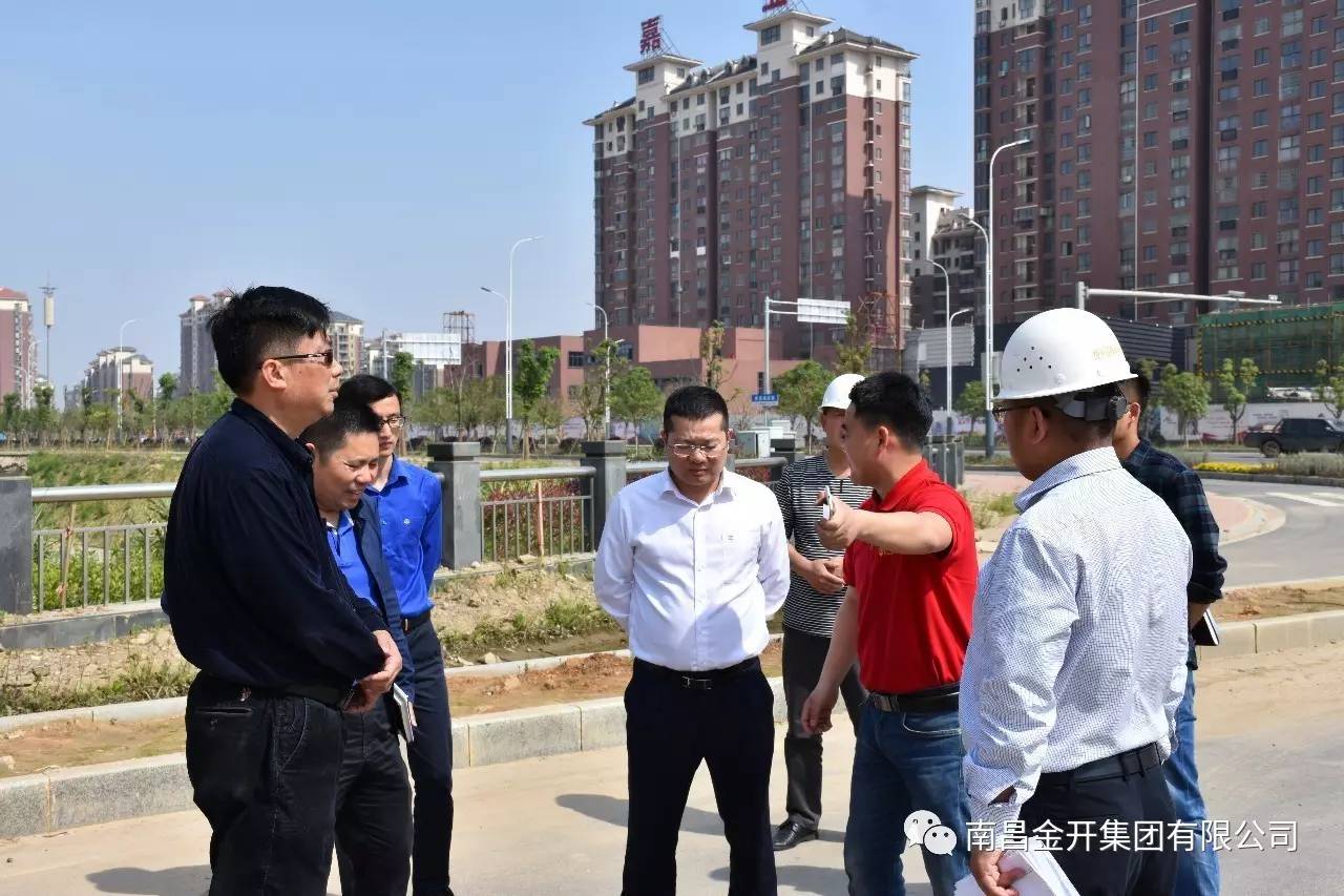 金开星空（中国）高管深入在建重大、重点项目进行调研