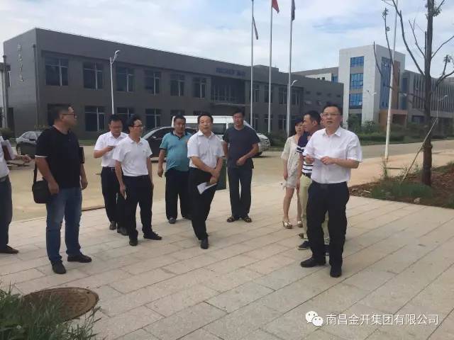区管委会副调研员谭钟亮调研金开星空（中国）在建电力项目