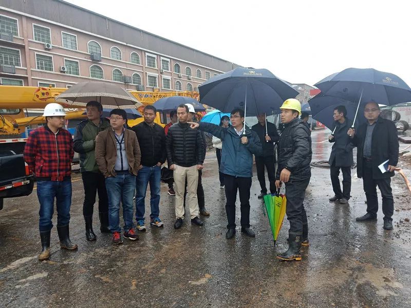【聚焦】助力文明城市创建,金开星空(中国)在行动
