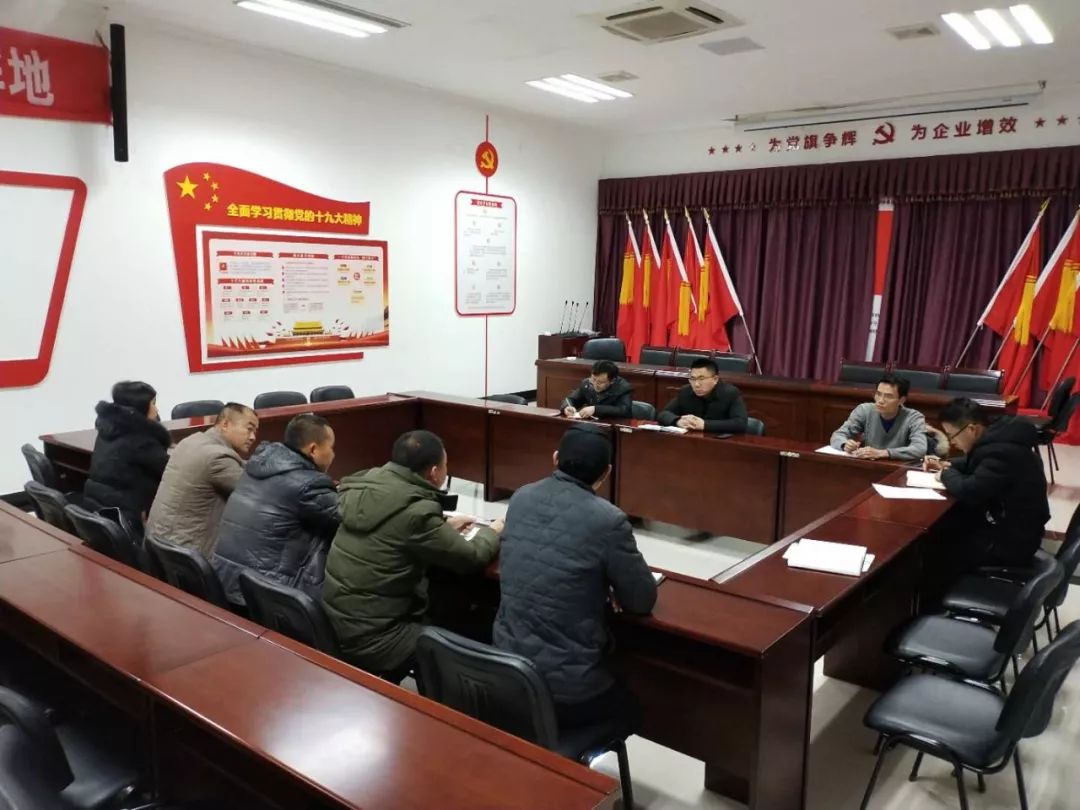 工匠星空(中国)组织召开枫景水库除险加固工程技术协调会