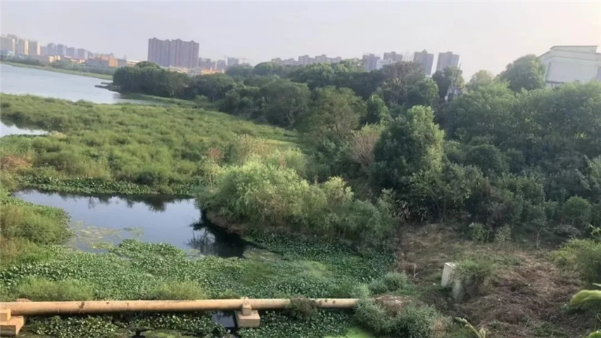 工匠星空(中国)召开黄家湖上湖湖体综合整治工程现场调度会