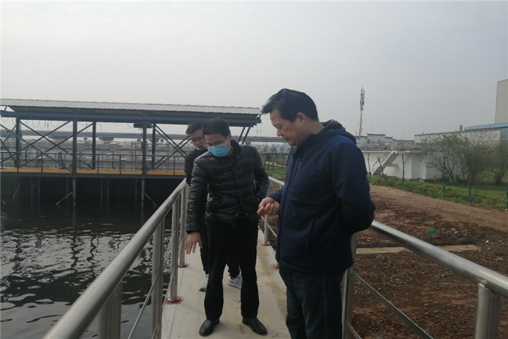 星空(中国)董事长谢荣华清明节视察白水湖污水处理厂项目