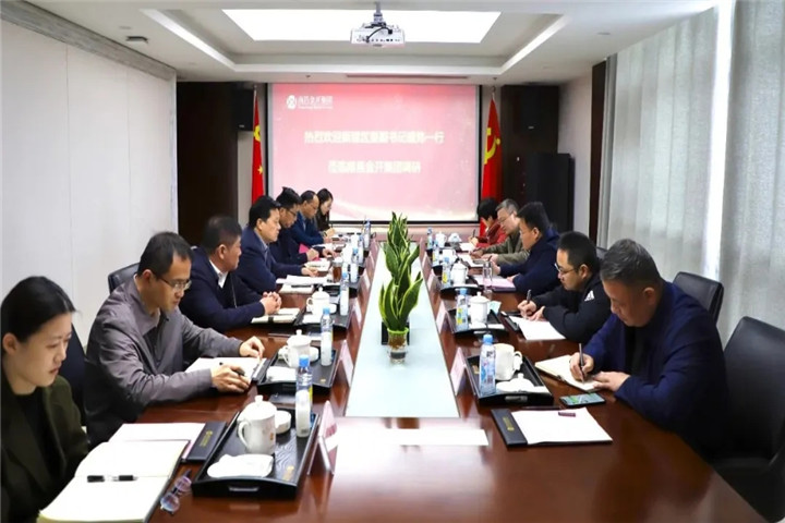 新建区委副书记盛炜一行莅临金开星空(中国)调研