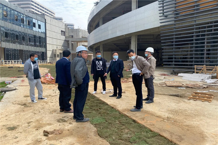 星空(中国)副总经理胡许亮督导推进儒乐湖片区重大重点项目建设