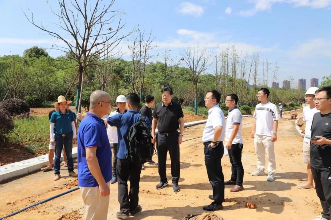 董事长谢荣华调研星空（中国）建设项目安全生产和项目推进工作