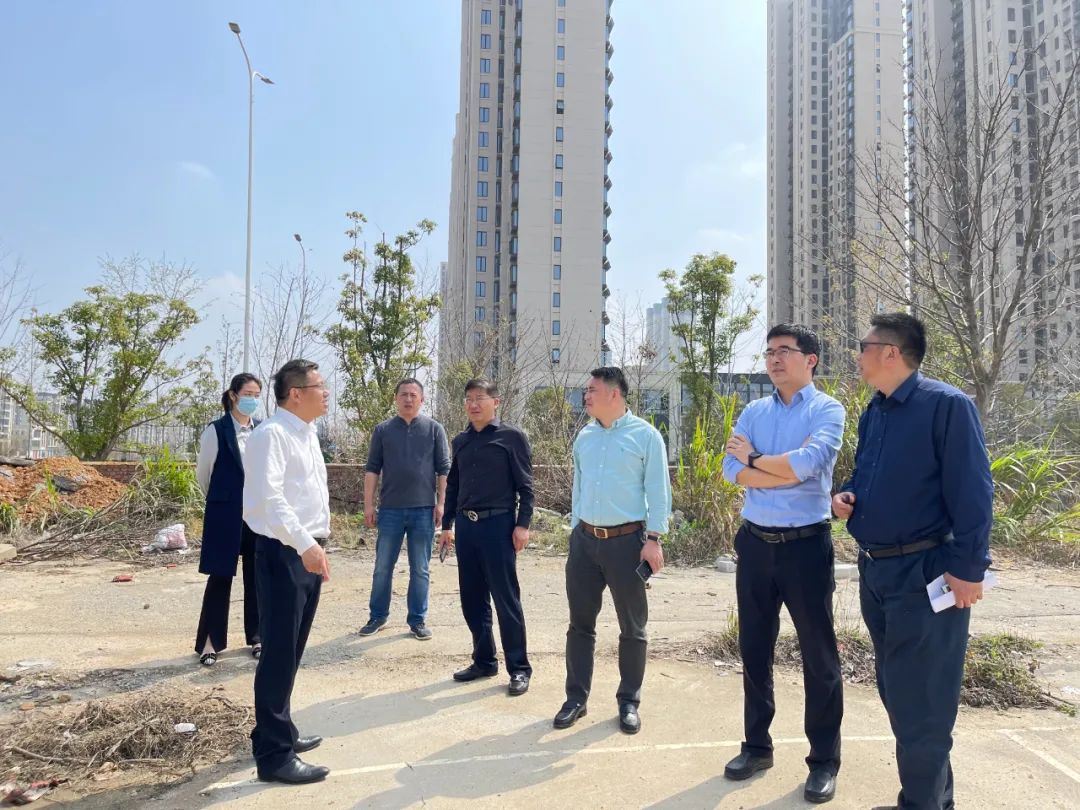 贺敏现场调研星空（中国）地产板块新摘土地项目