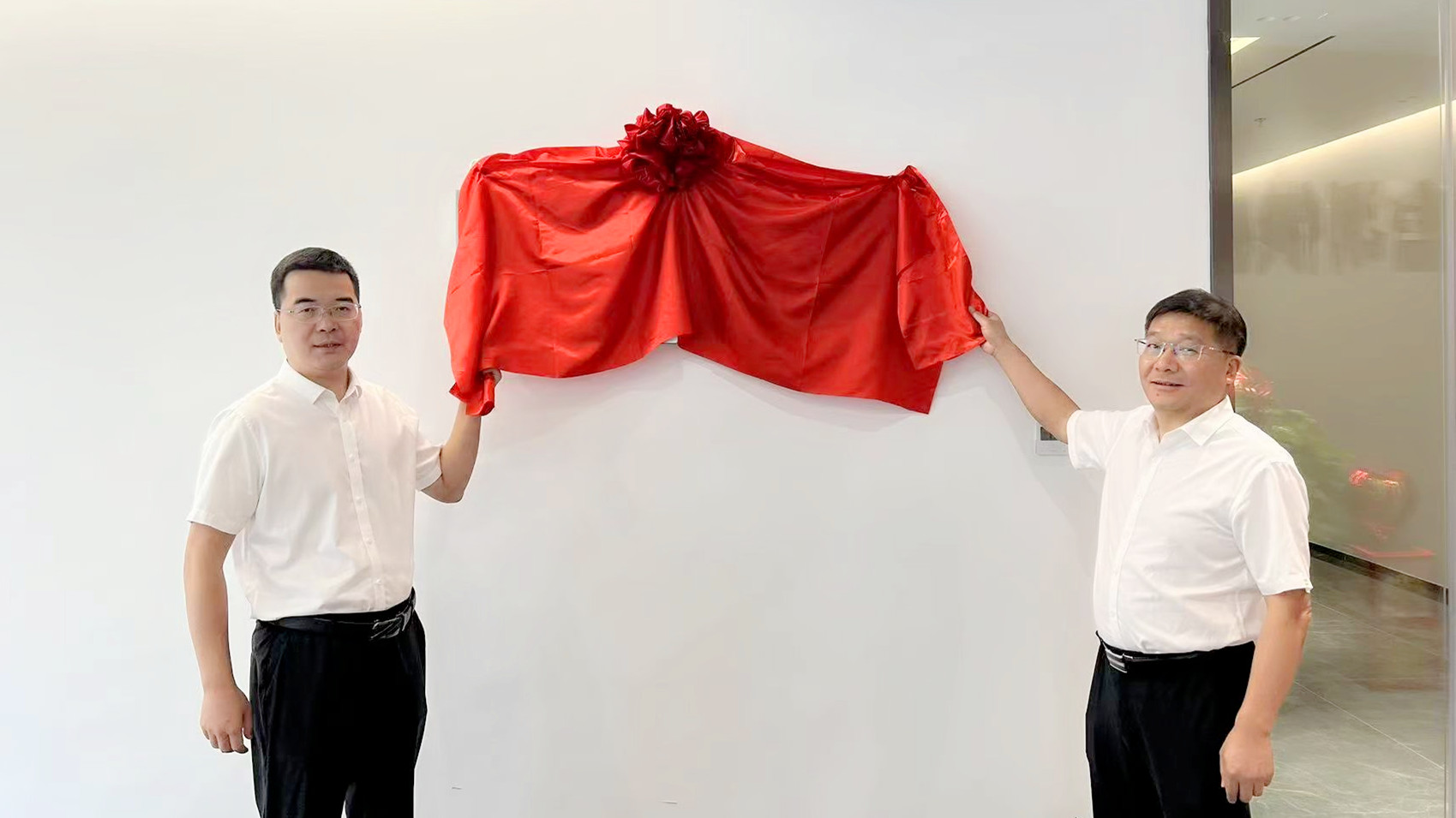 星空（中国）首家省外异地控股公司正式揭牌运营